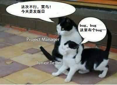 测试菜鸟的坚持